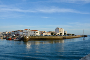 Enlèvement arbre urgence Les Sables-d'Olonne